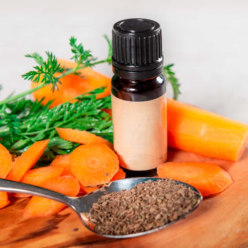 Carrot Seed Essential Oil