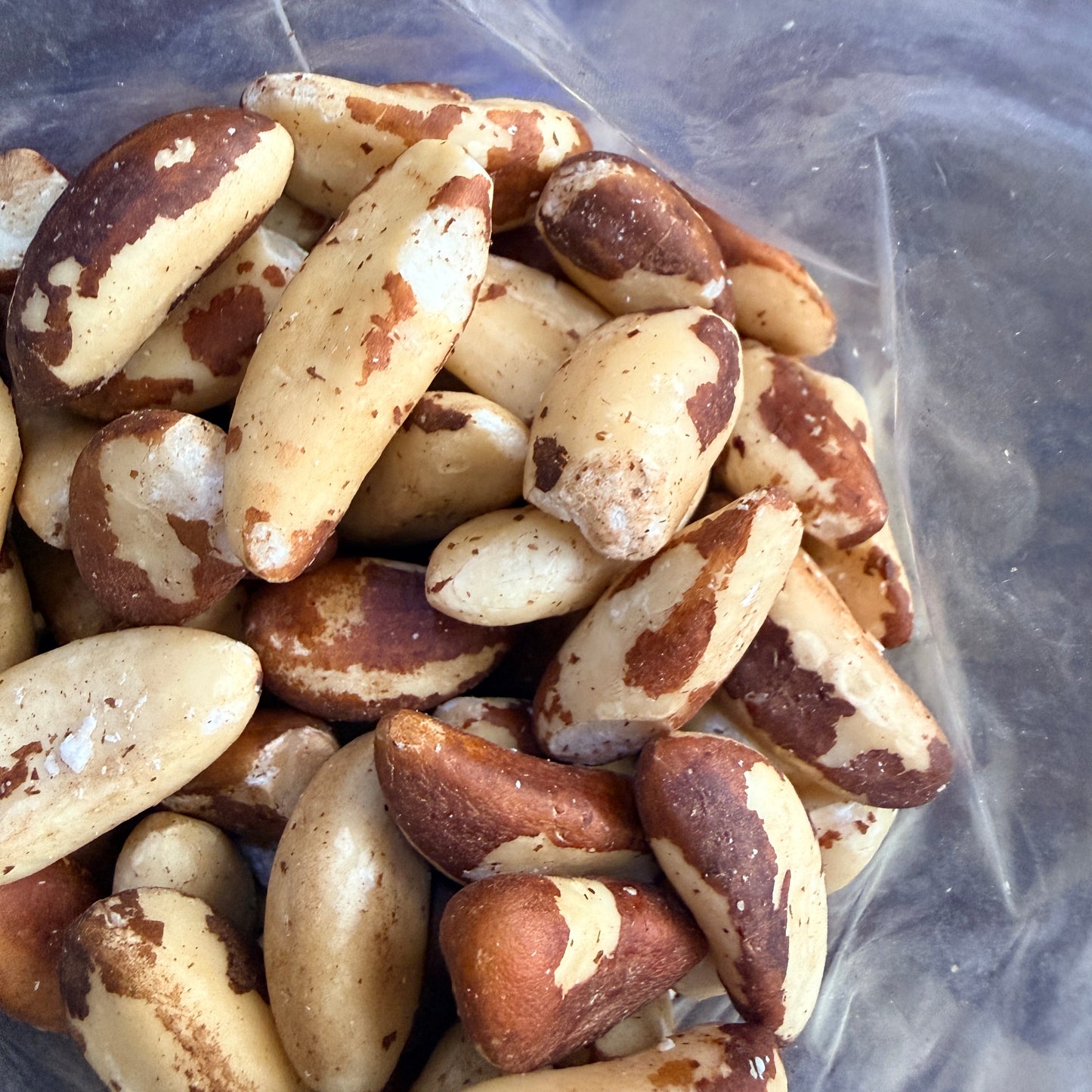 Brazil Nuts