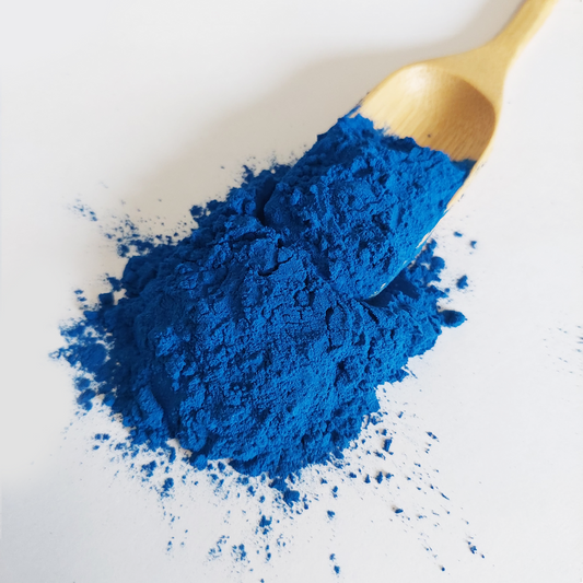 Blue spirulina powder on a white background with a wooden spoon