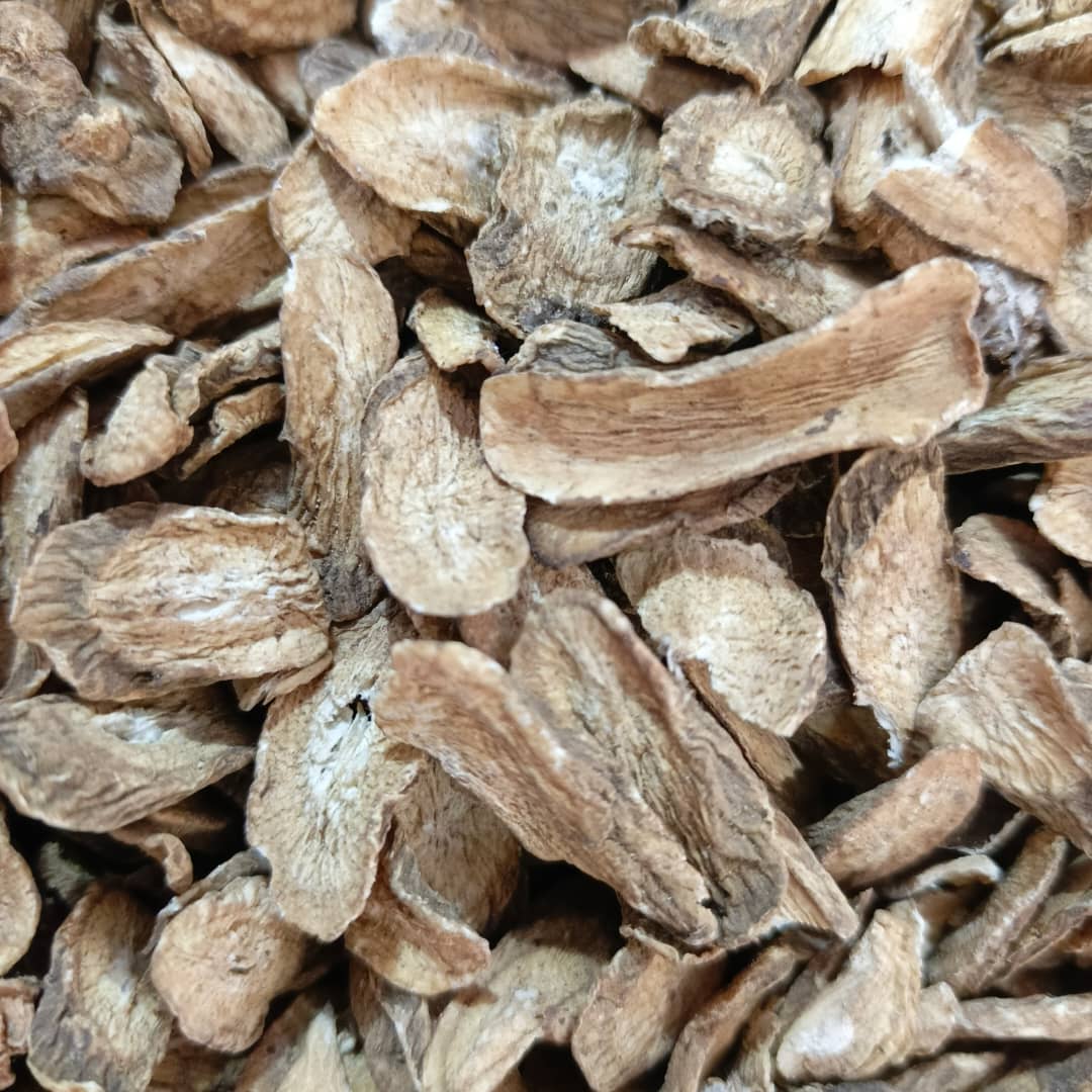 close up of burdock root