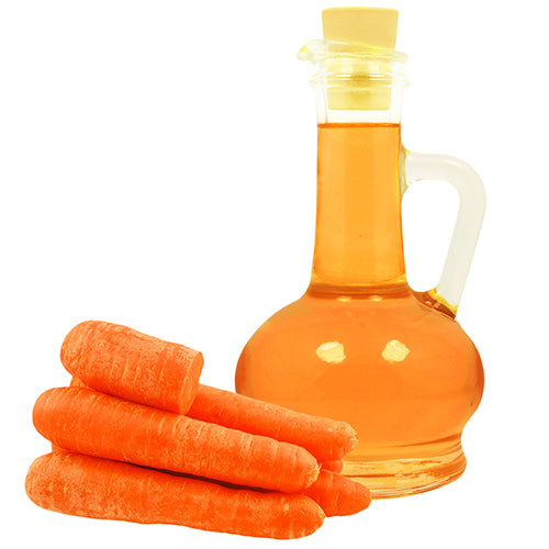 Carrot Seed Oil