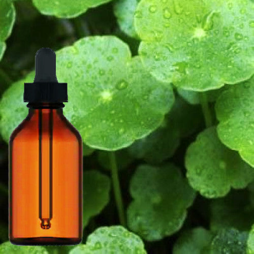 Gotu Kola Extract Oil