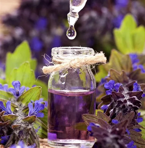 Lavender Essential Oil