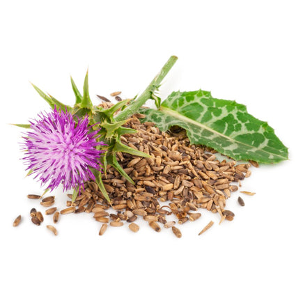 Milk Thistle Seed