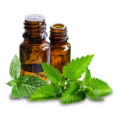 Peppermint Essential Oil
