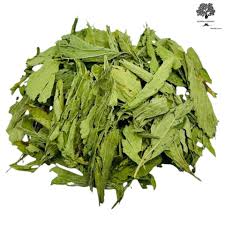 Stevia leaf