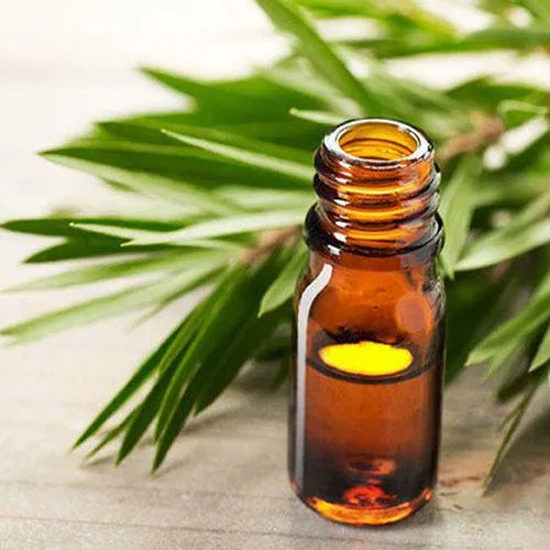 Tea Tree Essential Oil