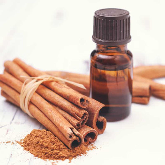 Cinnamon Essential Oil