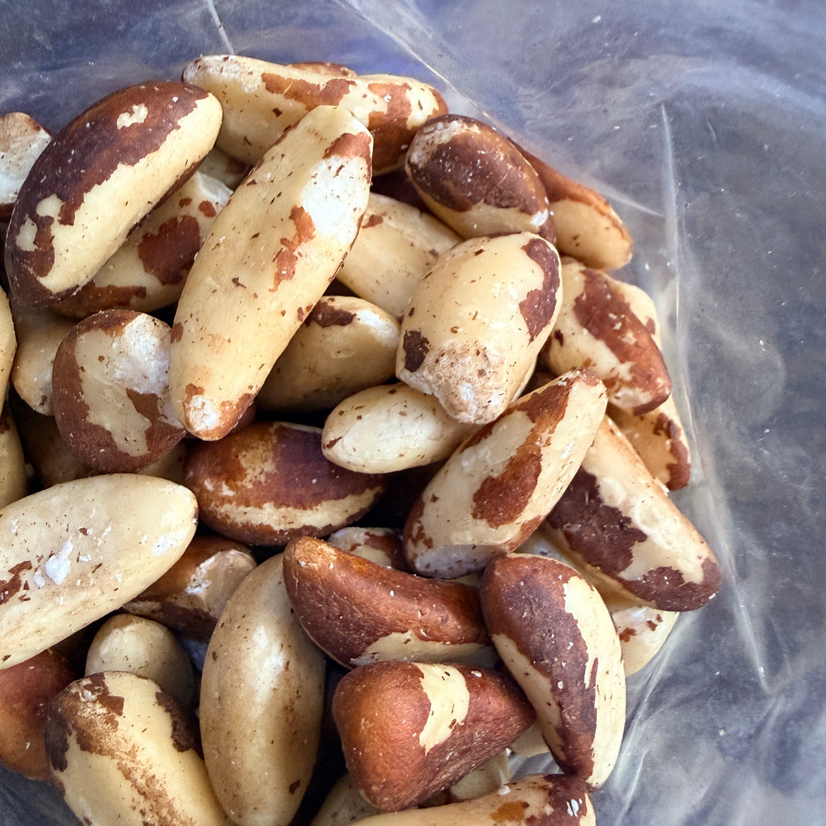 Brazil Nuts