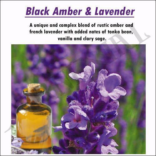 Black Amber Lavender Fragrance Oil - Brambleberry