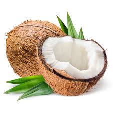 Coconut Fragrance Oil