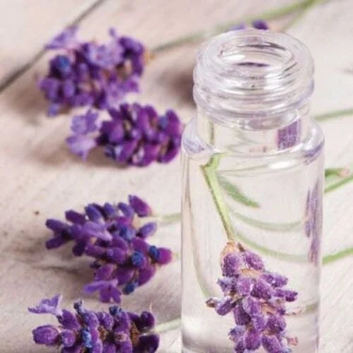 Lavender Fragrance Oil