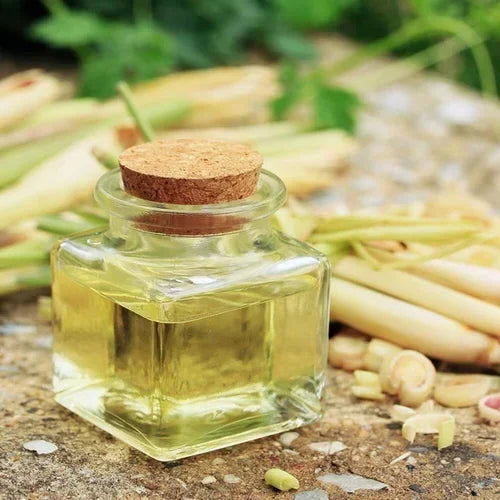 Lemongrass Carrier Oil