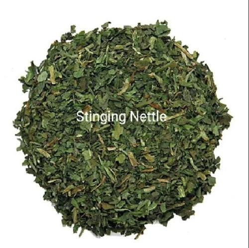 Stinging Nettle Leaf