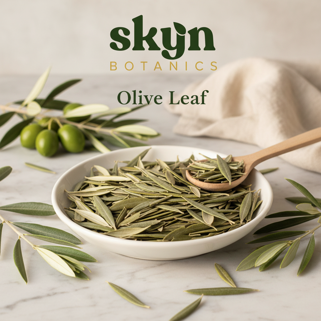 SKYNBotanics Premium Dried Olive Leaf with botanical logo and product name