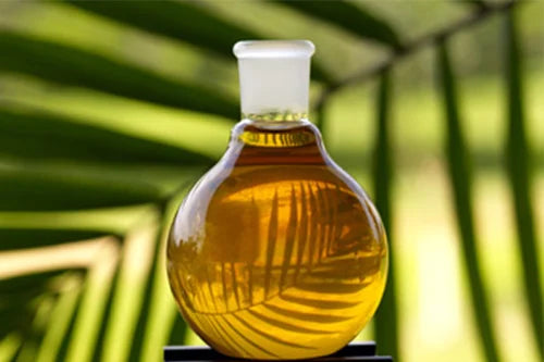 Palm Kernel Oil Cold Pressed Oil PKO