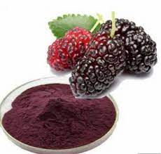 mulberry extract powder in abuja